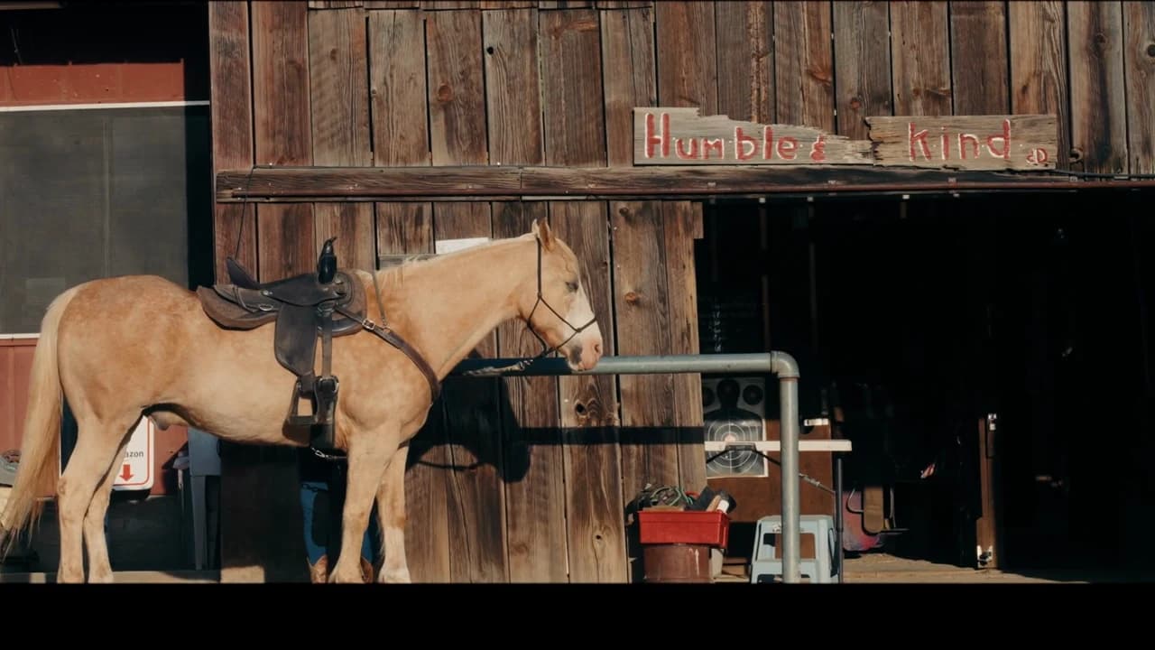 An equestrian ranch in wooded hills: the property from the air, a horse loose in a paddock, two more under a covered arena, a rider on a trail through long grass, and a timber cabin with a loft.