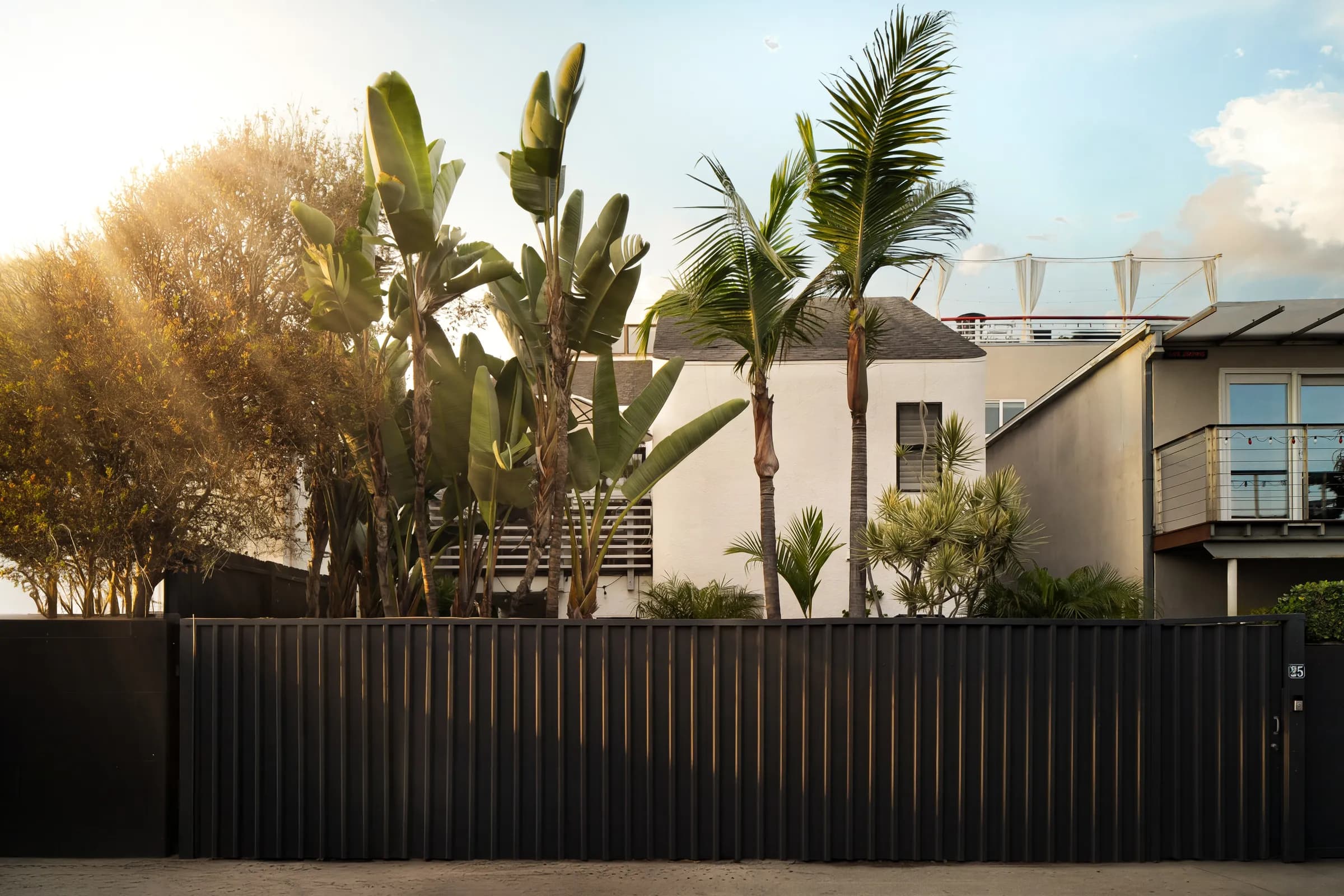 A contemporary house behind a black slatted fence with mature palms, and its interiors: a pale living room, an open kitchen and a detail of a patterned rug against leather. Frame 1 of 23.