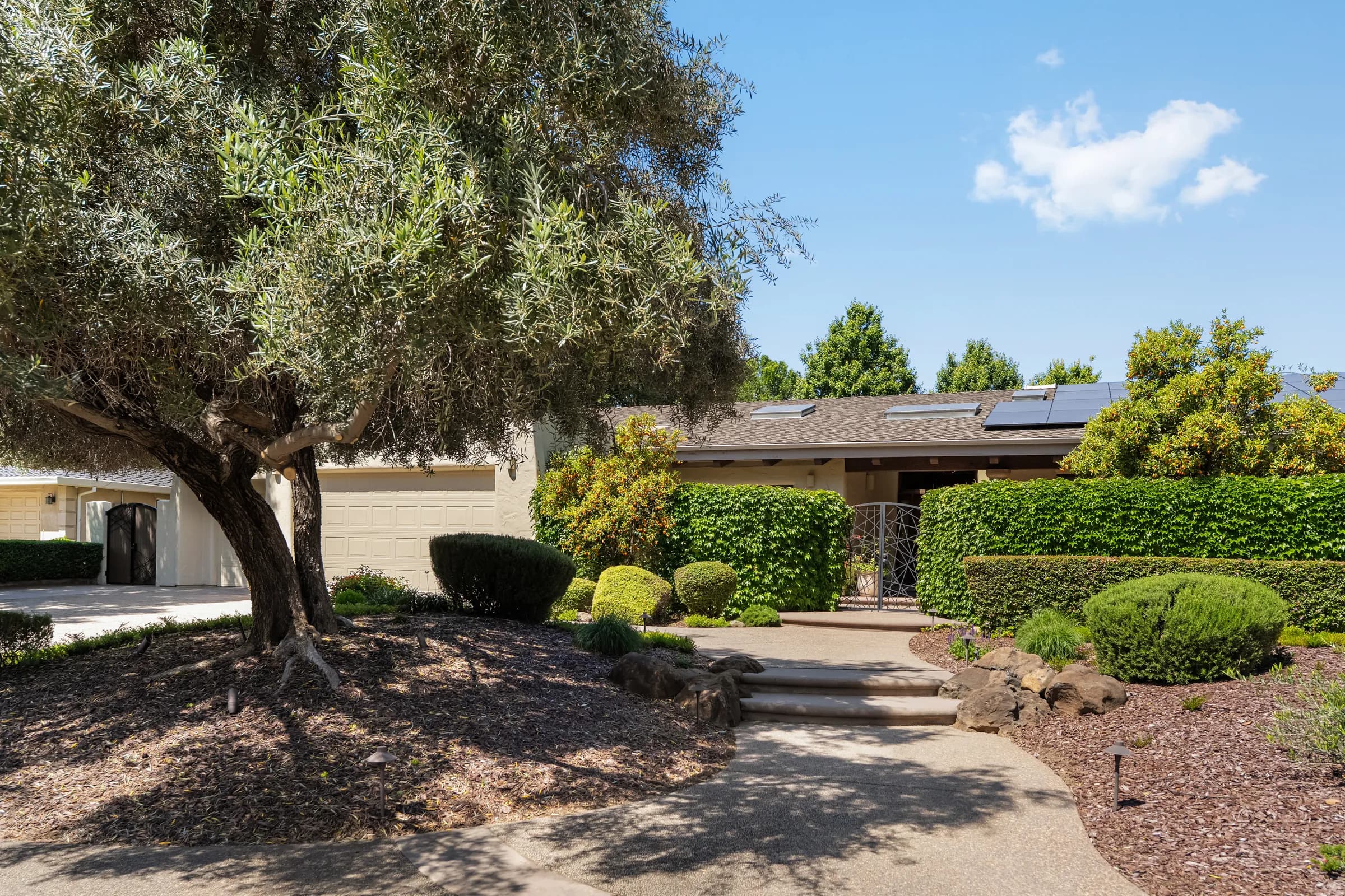 A low house seen past an old olive tree, its entry set behind clipped hedges and a gravel forecourt.