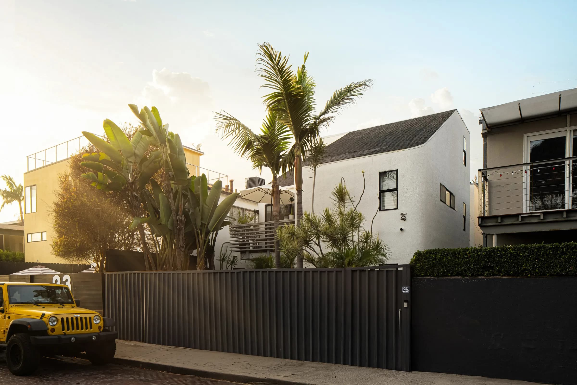 A contemporary house behind a black slatted fence, palms rising against the sun above the roofline.